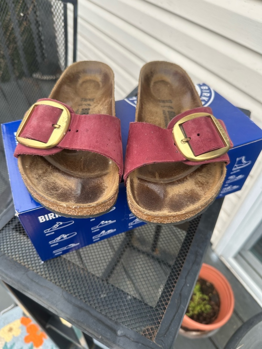 Birkenstock Madrid Suede Slide in Burgundy with Big Brass Buckle